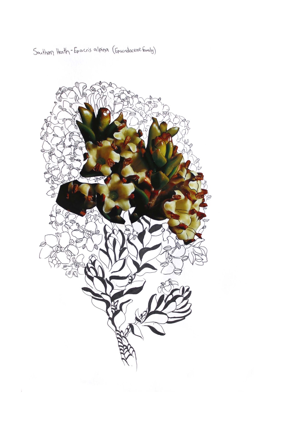 Alpine lichen (improvised), 2018